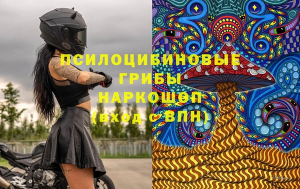 спиды Белокуриха