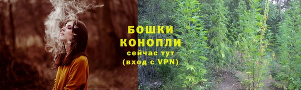 спиды Белокуриха