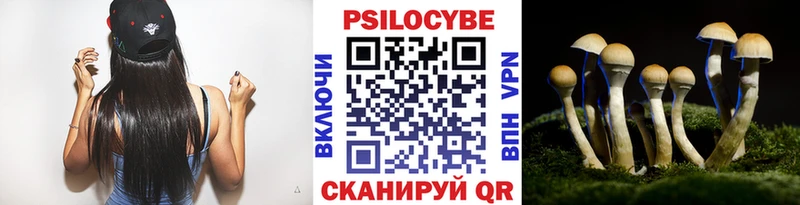 Галлюциногенные грибы Psilocybe  Верхний Уфалей 